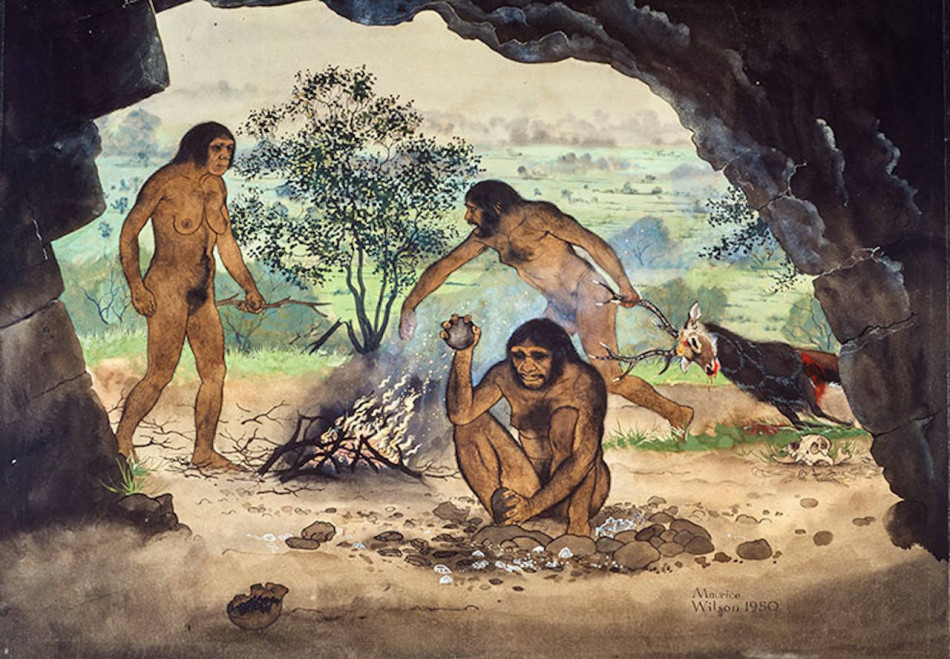 Опанування вогню пристосувало імунну систему людей до швидкого загоєння опіків