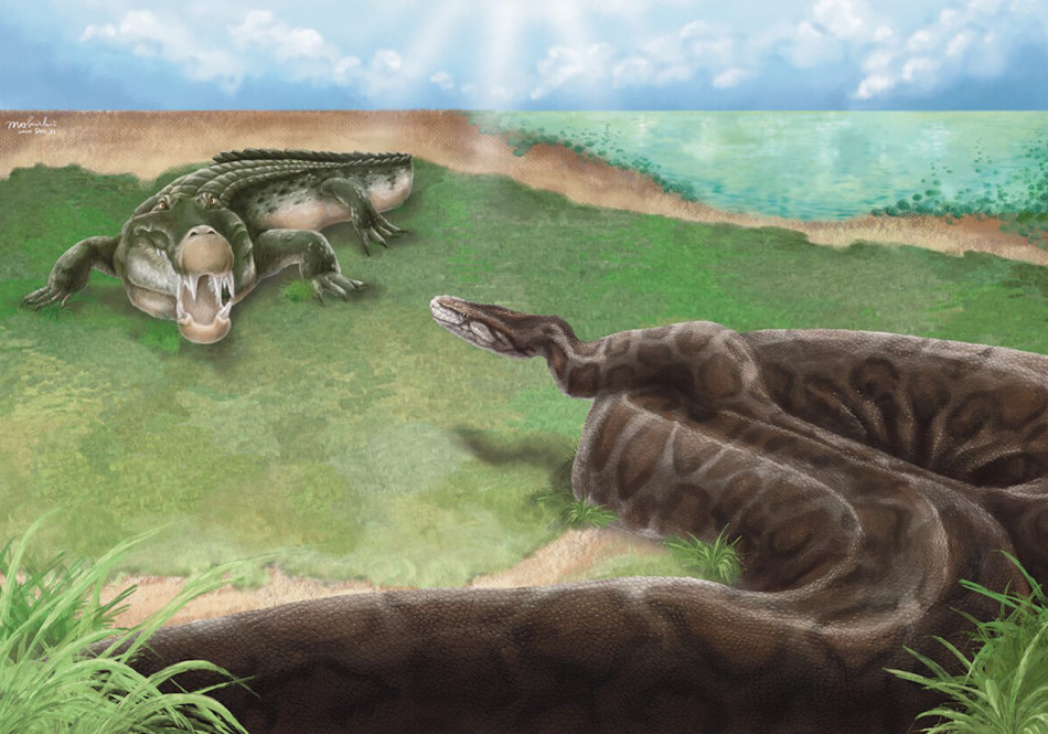 У Тайвані знайшли хребець чотириметрового пітона віком понад 400 тисяч років