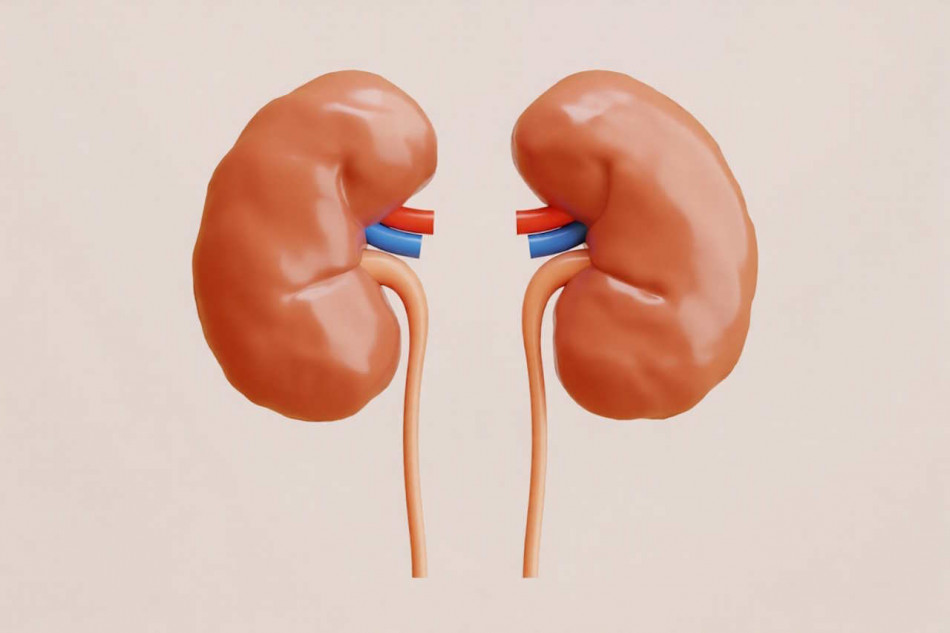 Хвороби нирок запідозрили в ускладненні діагностики хвороби Альцгеймера