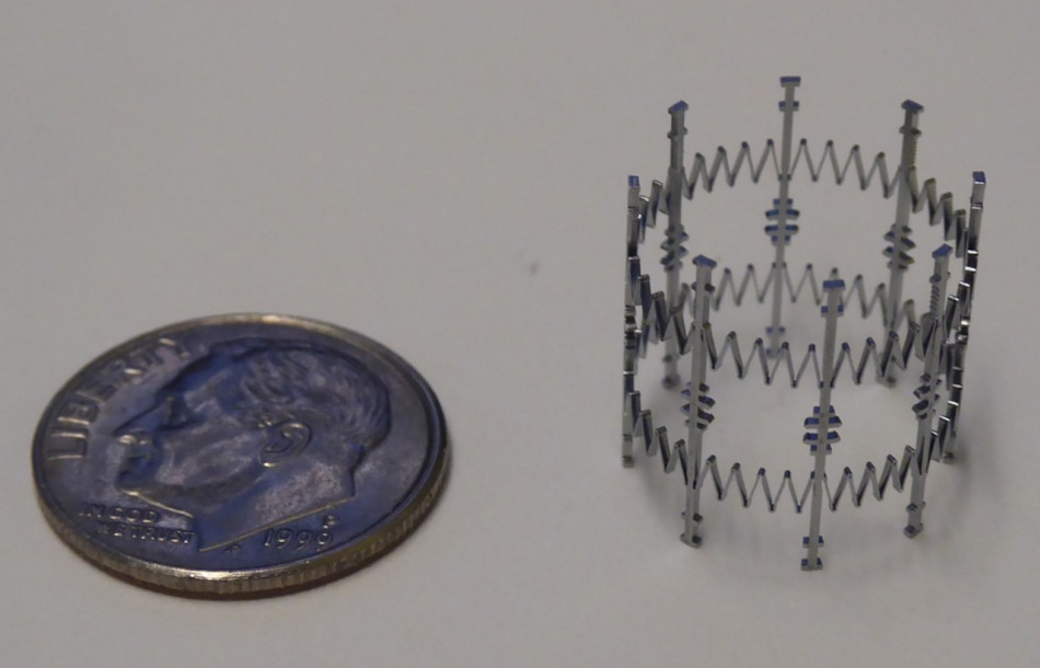 Штучний клапан серця для немовлят успішно випробували на поросятах. Він зможе «рости» разом з дитиною