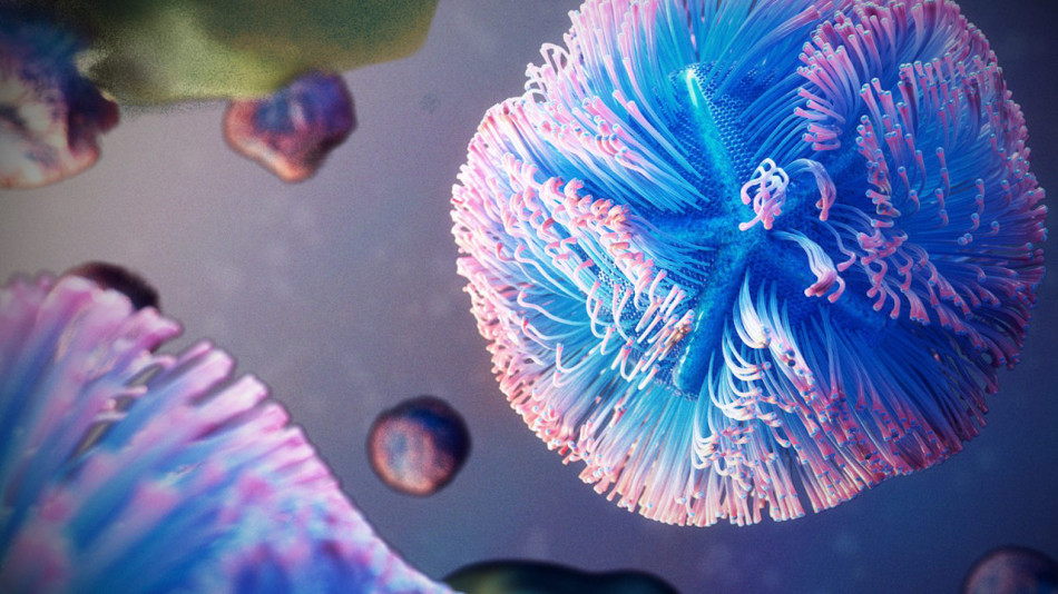 Гігантський мімівірус змусив клітину-хазяїна виробляти білки для пришвидшення його розмноження в тисячі разів