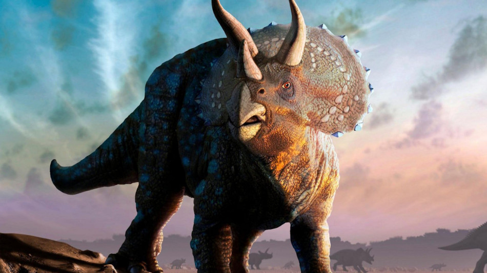 Великий ніс захистив трицератопсів від перегріву голови