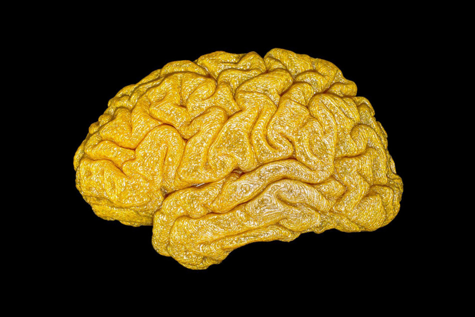 Кокаїн перепрограмував мозок мишей і зробив їх схильними до повторного вживання