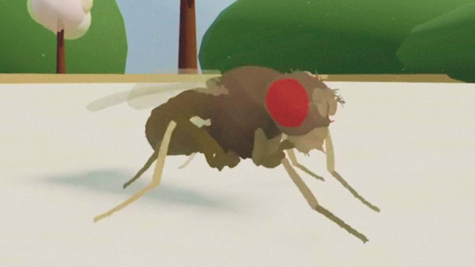 Цифрова копія мозку плодової мушки зі 125 тисячами нейронів вперше покерувала віртуальним тілом