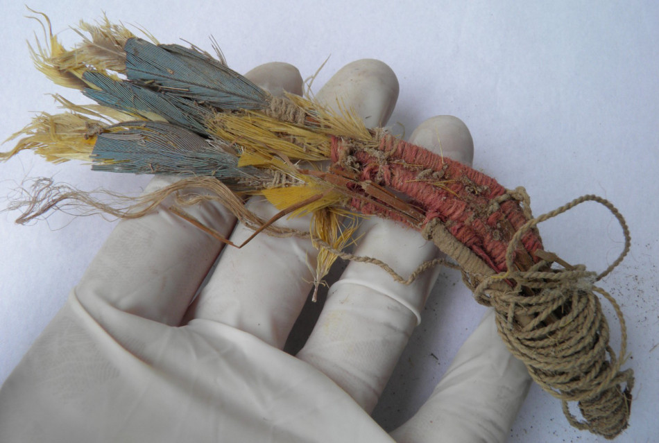 Попередники інків перевезли живих папуг через гори заради цінного пір’я