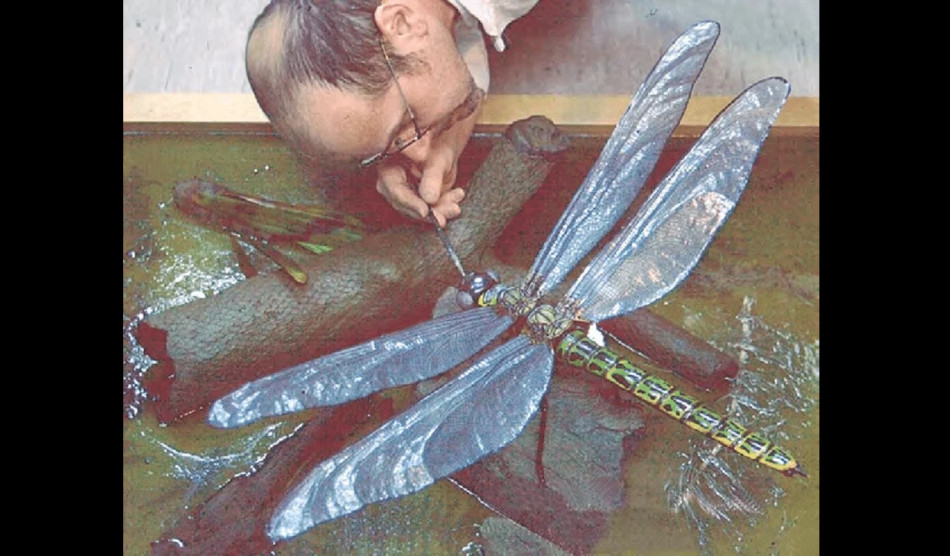 Нестача кисню в атмосфері не вбила гігантських комах пермського періоду