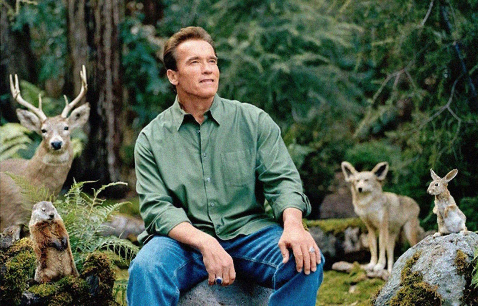 Звуки рідного лісу покращили настрій німців сильніше за екзотичні джунглі