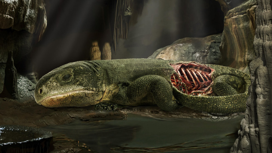 Муміфікована в нафті рептилія вказала на механізм дихання давніх наземних хребетних