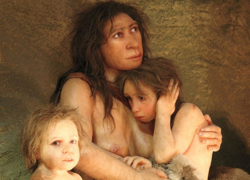 Темпи росту дітей неандертальців назвали значно вищими за людські