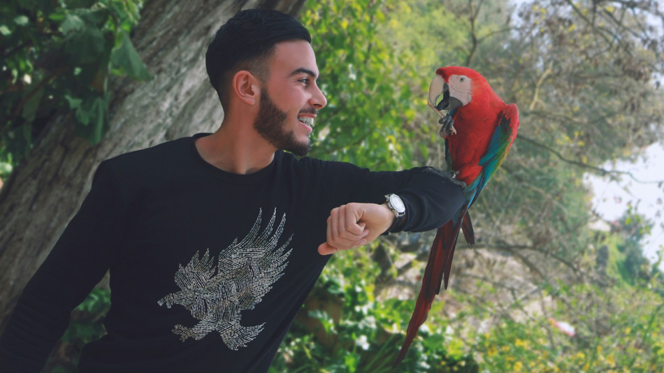 Папуги 63 видів звернулися на імена до господарів та інших домашніх тварин